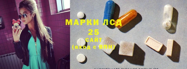 гашик Богданович