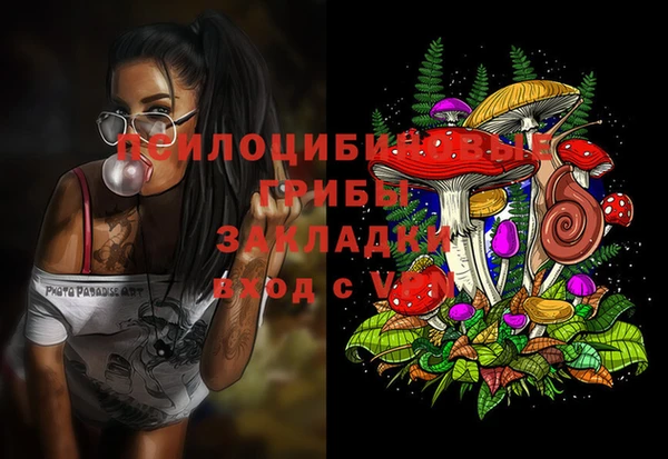 прущая мука Богородицк