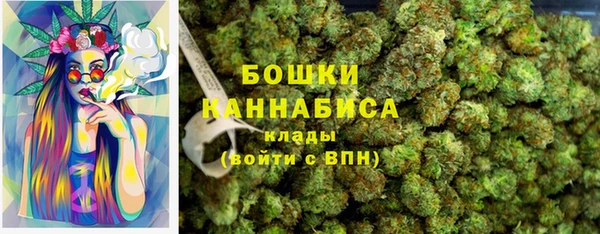 гашик Богданович
