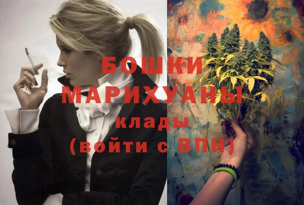 гашик Богданович