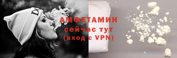 гашик Богданович
