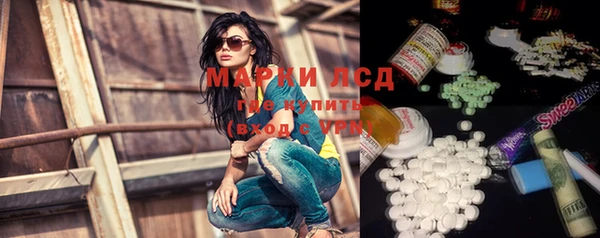 гашик Богданович